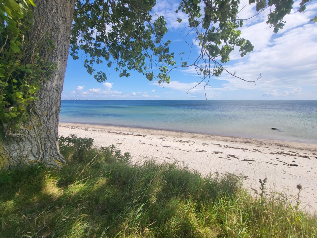 Blick aufs Meer fürs Portfolio 