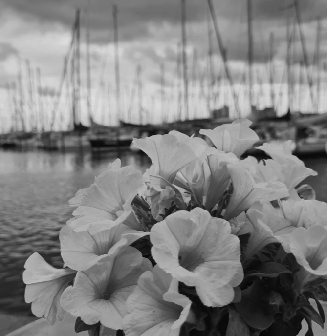 Dankbarkeit September 2025 